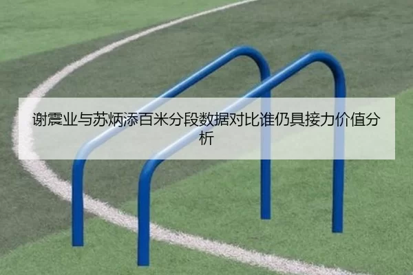 谢震业与苏炳添百米分段数据对比谁仍具接力价值分析 - aitiyu